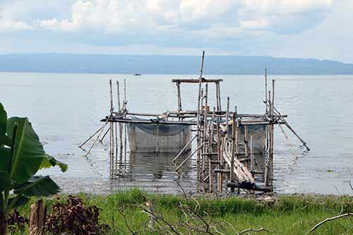 fish farms toba-AsiaPhotoStock