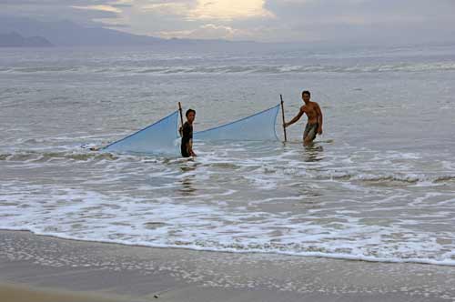 milk fish net-AsiaPhotoStock