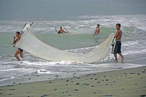 milk fishing-AsiaPhotoStock