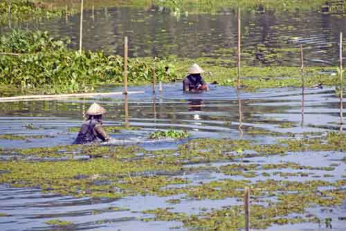 fishing ambarawa-AsiaPhotoStock