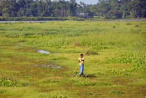 fishing in field-AsiaPhotoStock