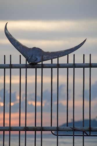 fish tail on fence-AsiaPhotoStock