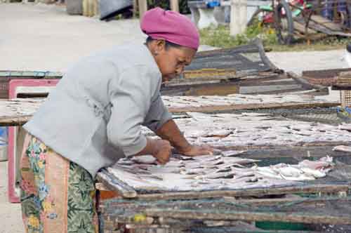 fish woman-AsiaPhotoStock