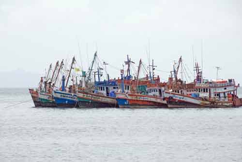 fleet of fishing boats-AsiaPhotoStock