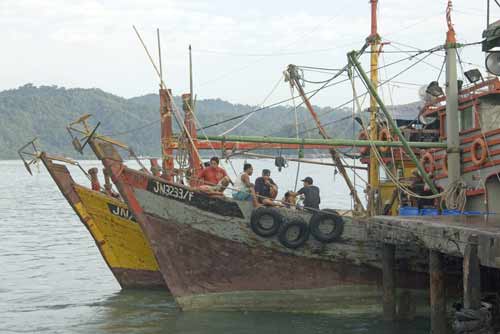 fishing fleet-AsiaPhotoStock