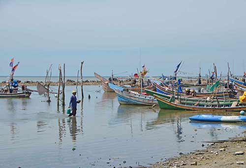 fleet fishing hua thanon-AsiaPhotoStock