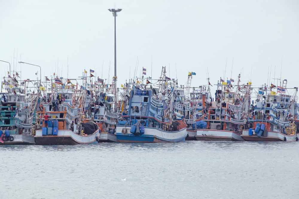 fleet at anchor-AsiaPhotoStock
