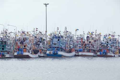 fleet at anchor-AsiaPhotoStock
