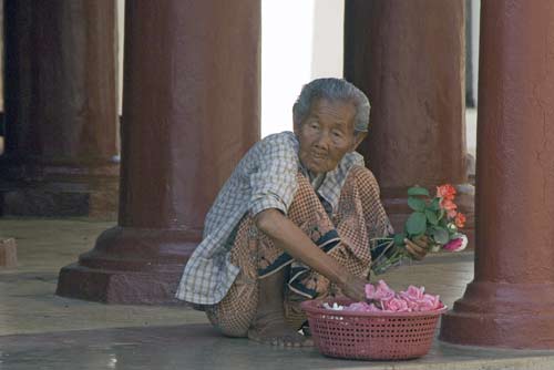 flower seller-AsiaPhotoStock