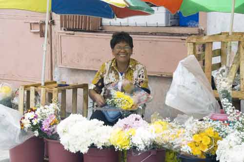 cabanatuan flowers-AsiaPhotoStock