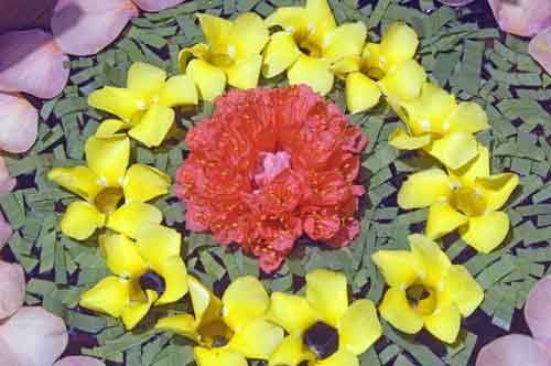 flower display at losari-AsiaPhotoStock