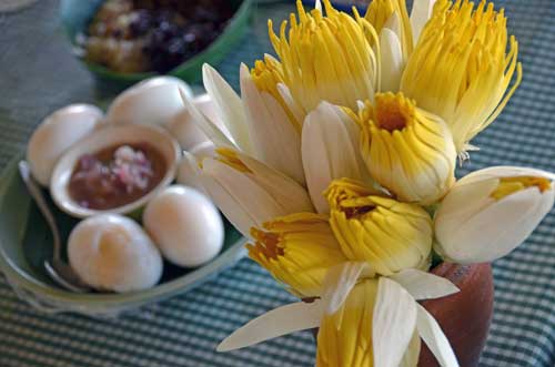 flowers and eggs-AsiaPhotoStock