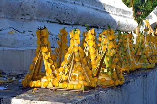 flowers from wax-AsiaPhotoStock