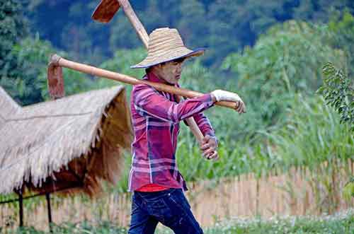 foreign worker-AsiaPhotoStock