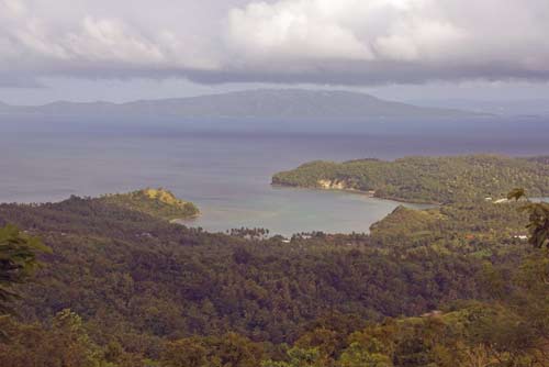 forest area-AsiaPhotoStock