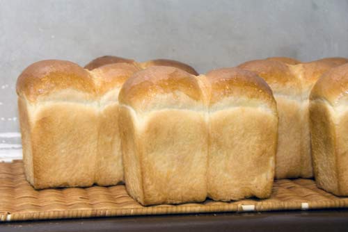 fresh bread-AsiaPhotoStock