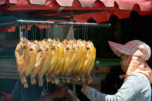 fried fish-AsiaPhotoStock