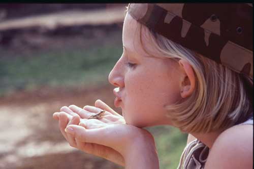 frog kiss-AsiaPhotoStock