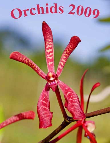 Orchids 2009 calendar-AsiaPhotoStock