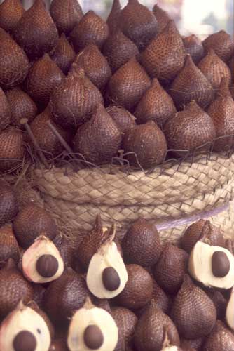 salak snake skin fruit-AsiaPhotoStock