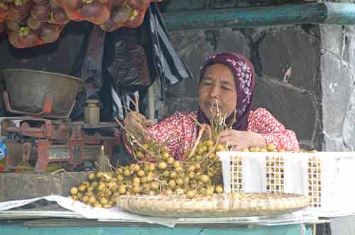 longon fruit-AsiaPhotoStock