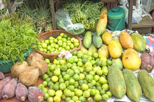 fruit selection-AsiaPhotoStock