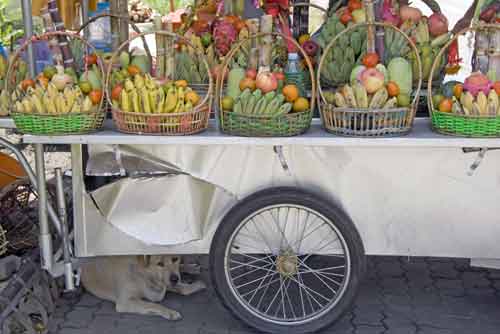 fruit baskets-AsiaPhotoStock