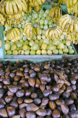 fruit batam-AsiaPhotoStock