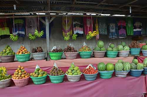 fruit batur-AsiaPhotoStock