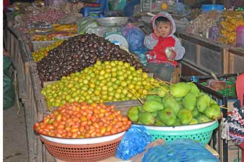 fruit market-AsiaPhotoStock