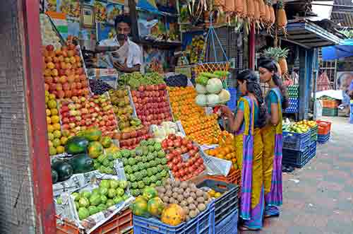 fruit trivandrum-AsiaPhotoStock