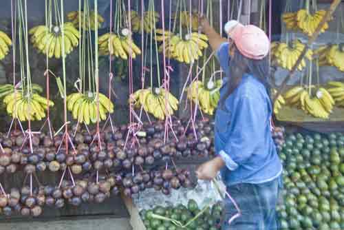 fruits bananas-AsiaPhotoStock