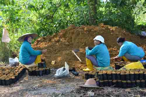 gardeners kuching-AsiaPhotoStock