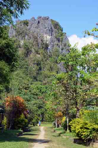 gardens-AsiaPhotoStock