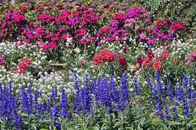 gardens-AsiaPhotoStock