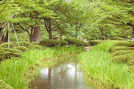 gardens kenrokuen-AsiaPhotoStock