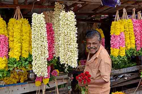 garlands trivandrum-AsiaPhotoStock