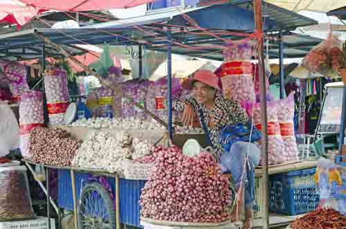 garlics aranya pratet-AsiaPhotoStock