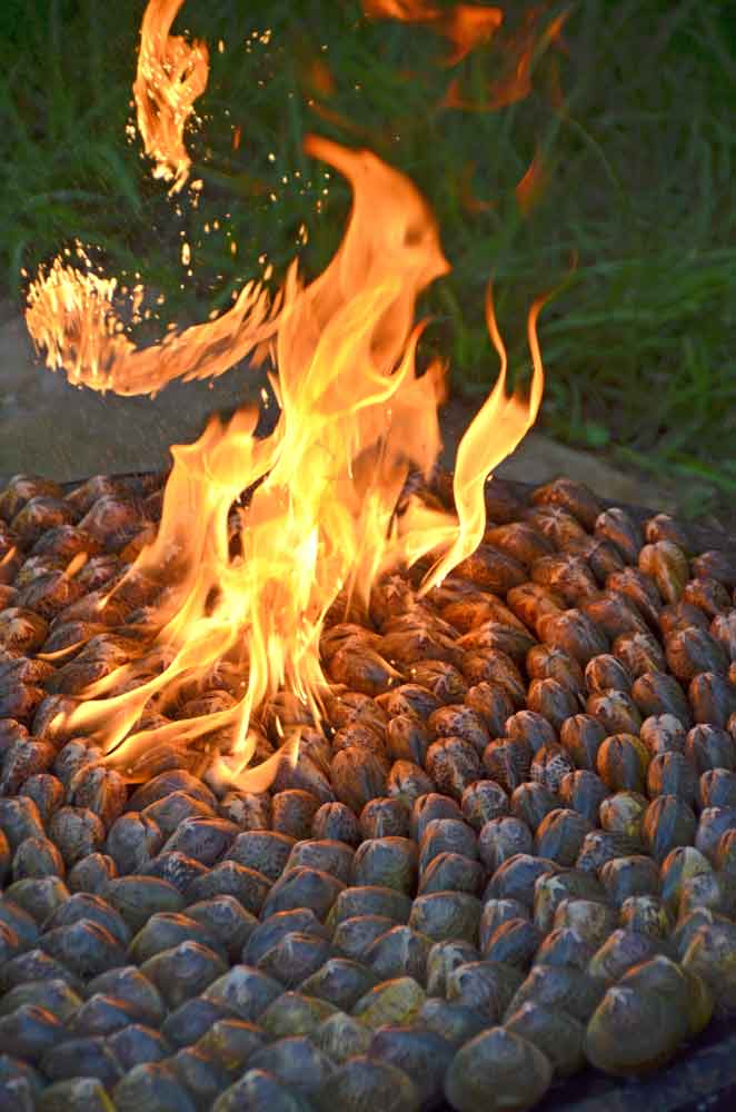 AsiaPhotoStock, gasoline clams