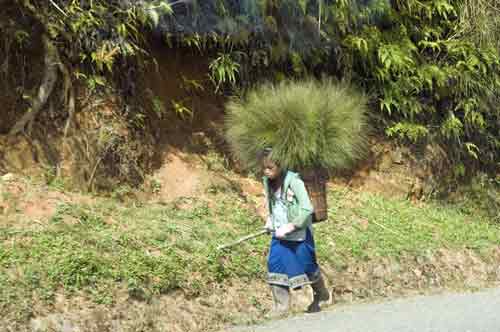 gatherer-AsiaPhotoStock