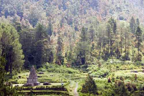 gedung songo temple-AsiaPhotoStock