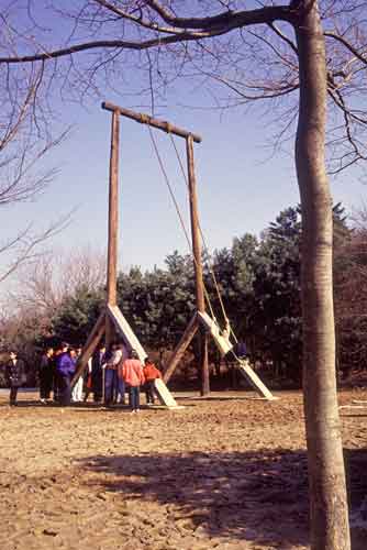 giant swing-AsiaPhotoStock