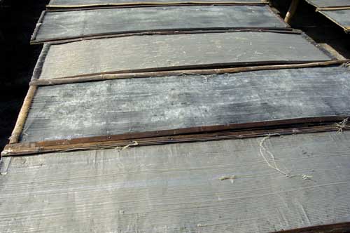 glass noodles on tray-AsiaPhotoStock