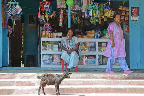 goat shop-AsiaPhotoStock