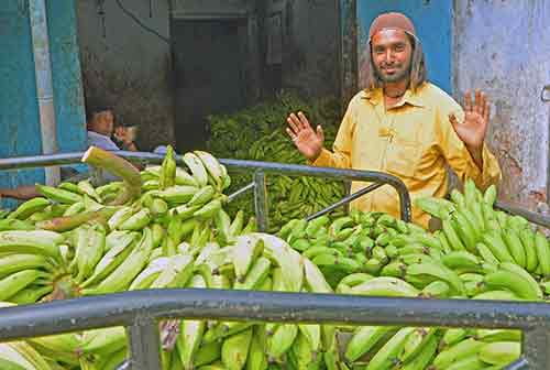 going bananas-AsiaPhotoStock