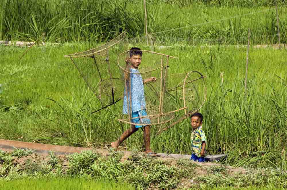 fishing nets with fish. fishing nets, fish baskets
