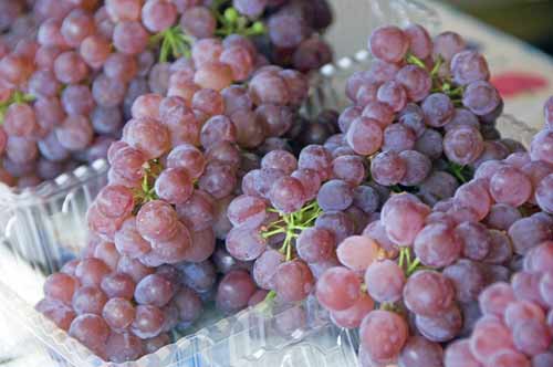 grapes-AsiaPhotoStock