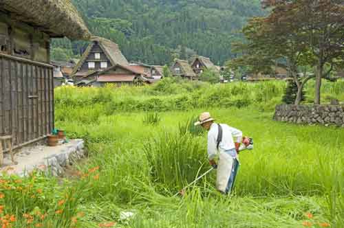 grass cutting-AsiaPhotoStock