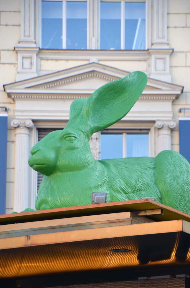 green rabbit-AsiaPhotoStock