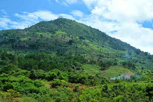 greenery dalat-AsiaPhotoStock